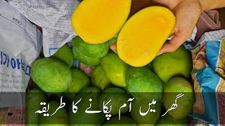 How to ripen mangoes at home | Ethylene ripening of fruits - Kacche aam pakane ka tarika