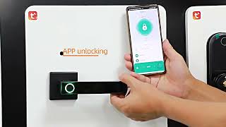 Unlock the Future: Camakt Smart Lock Factory Tour | SF043 Zinc Alloy Handle Lock