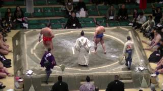 照強-力真/大相撲.2017.1.13(33)/terutsuyoshi-rikishin/day6 #sumo