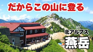 【テント泊登山】燕岳 大天井岳 北アルプス表銀座 プチ縦走 槍ヶ岳の眺望 コマクサ満開