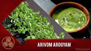 சிறுநீரக நோய்களை குணமாக்கும் நீர் பூலா மூலிகை | Arivom Arogyam | 18/09/2018