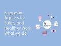 EN - European Agency for Safety and Health at Work: What we do