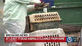 At least 77 dead animals cleared from home in Old Saybrook