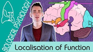 Localisation of Function in the Brain - Biological Psychology [AQA ALevel]