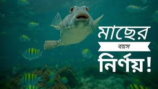 Fish Age Calculation || Otolith || মাছের বয়স নির্ণয় || অটোলিথ।।