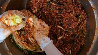 김장속넣기 ,포기김치 속넣기,김치속넣기 cabbage kimchi,mix seasoning kimchi in salted cabbage