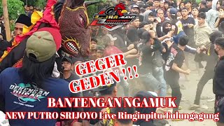 KEWAN ALAS Jaranan NEW PUTRO SRIJOYO Live Ringinpitu Kedungwaru TULUNGAGUNG - LJha Digital Audio