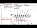 urutan solenoid excavator Komatsu#shorts