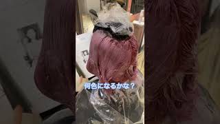 インナーカラーを秋らしいピンクからーにイメチェンします！#イメチェン#劇的ビフォーアフター#カット動画#shorts#クレカット