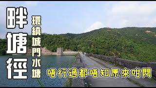 【香港行山】城門水塘『畔塘徑』｜BB級郊遊路線｜親子行山路線推介