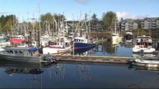 Life on the Edge in Ucluelet, British Columbia!