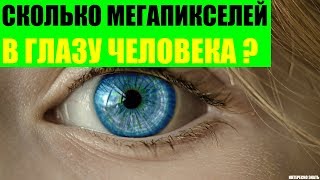 Сколько мегапикселей в глазу человека?