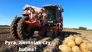 #125 Zbiory i magazynowanie ziemniaków w Bracia Bracik 2021. Z takiego plonu każdy byłby zadowolony