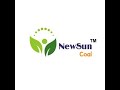 NewSun™ Activated Charcoal Air Purifying Bag@