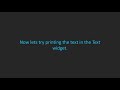 TkInter's Text and Entry Widgets