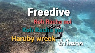 freedive เกาะราชาน้อย เกาะราชาใหญ่ จ.ภูเก็ต น้ำใสมาก แวะเรือจม Harubywreck