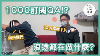 28 頻道訂閱目標達成！1000訂閱就要來做QA！？  - 浪途 - noramichi - TNR