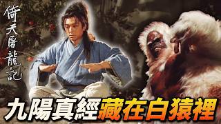 Zhang Wuji found the Nine Yang Scriptures and developed peerless magical skills!｜KungFu