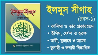 ইলমুস সীগাহ। ক্লাস-১ ধারাবাহিক ক্লাস। ilmus seegha class-1. علم الصيغة. সরফ নাহু কোর্স। আরবী ব্যাকরণ