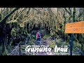 Hiking Mossy Forest Gunung Irau, Cameron Highlands