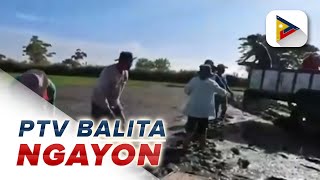 PBBM, tiniyak ang pagpapalakas sa kita at produksiyon ng mga magsasaka