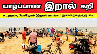 யாழ்ப்பாண கடற்கரை மீன் விற்பனை | Jaffna Beach Fish sale 🐟🐠🦀🦐