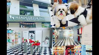 Heads Up for Tails (HUFT) Panampilly Nagar, Kochi | Bingo's Pet Spa Visit and Walkthrough Review