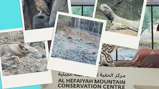 Al Hefaiyah Mountain Conservation Center /kalba sharjah/Tkt price 15aed