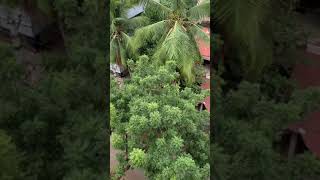 What a climate | amazing | Ravali’s Vlogs