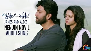 Nenjin Novil Audio Song | James and Alice| Prithviraj Sukumaran, Vedhika, Gopi Sundar | Official