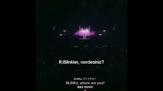 ayyy çok güzeldi #blackpink #rose #bp #blink black pink anıtı olduğunu açıkladım ve roseyi linçledim