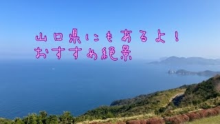 【山口県長門市】おすすめ絶景スポット！千畳敷と元ノ隅神社⛩️