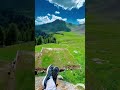 Natural view #youtubeshorts #kashmir #adventure #kaghannaran