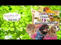 asmrとは？犬とインコ家の心地いい音♪【音フェチ】asmrist アスマーリスト デビュー？ 笑 571