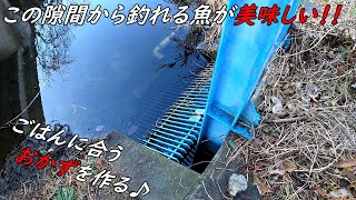 真冬の川魚をごはんのおかずにする