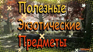 DIVISION 2 ПОЛЕЗНЫЕ ЭКЗОТЫ