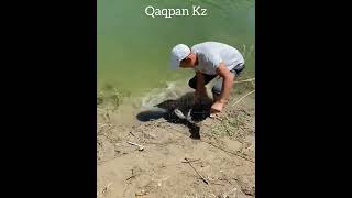 ШӘУІЛДІР | ШОШҚАКӨЛ | ЛАҚА балық аулау 🎣🎣🎣 2022 жыл #qaqpankz #shorts #шортс