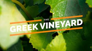 The Greek Vineyard | Season 3 Intro | Το αμπελουργικό ταξίδι συνεχίζεται!