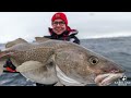 skrei adventure at sandland brygge