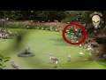 scary ghost video filmed in zoo mysterious ghost real scary video 2015