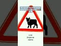 Дорожный знак 1.26 Перегон скота. животные пдд правиладорожногодвижения дорожныйзнак