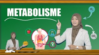 METABOLISME (Katabolisme-Anabolisme) | MATERI BIOLOGI KELAS XII | VIDEO PEMBELAJARAN