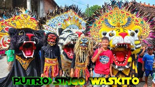 Barongan Ngamuk Di Desa Serangan || Kirab Barongan Putro Singo Waskito