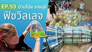 ฟิชวิลเลจ บ้านโป่ง ราชบุรี EP.53  | พาเพลิน อะควาติก | ฮัลโหล พาเพลิน