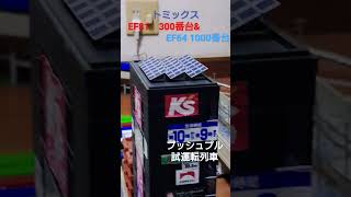 鉄道模型自宅レイアウト走行　NゲージトミックスEF81 300番台\u0026EF64 1000番台プッシュプル　ワム試運転列車