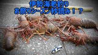 数釣りがしたいんじゃ！！【伊勢海老釣り】【数釣りのコツ】