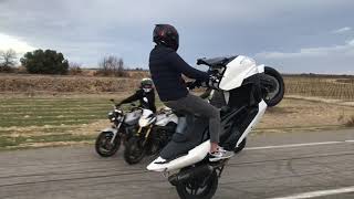 Wheeling Tmax 500