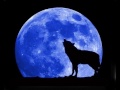 BOB SEGER * Shame on the Moon 1981 HQ