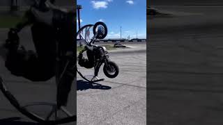 Why did he go so fast .🤕 #motorcycle #fail #slam #crash #stunt #rainbow #wheelie #bikelife #crazy