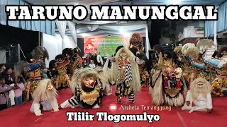 TARUNO MANUNGGAL TLILIR TLOGOMULYO TEMANGGUNG LIVE DANGKEL PARAKAN TEMANGGUNG